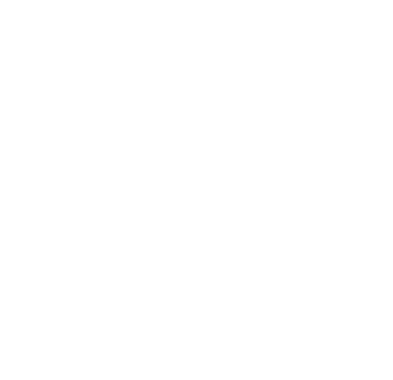 CAPI Website